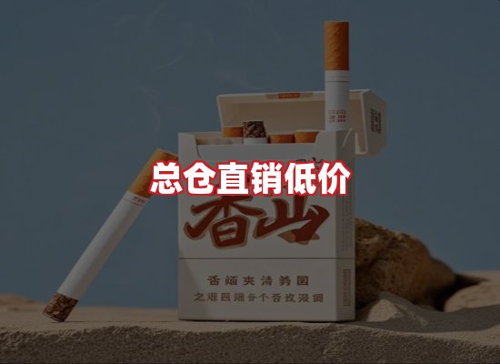 专业团队
